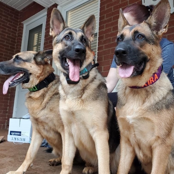 I'm selling comedy and laugh's with @sophiedeecorner! - Picture 6 of 9